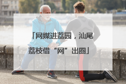 网媒进荔园，汕尾荔枝借“网”出圈