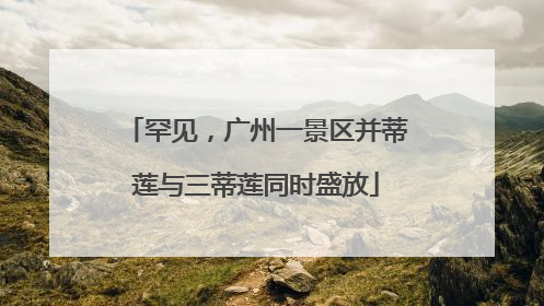 罕见，广州一景区并蒂莲与三蒂莲同时盛放