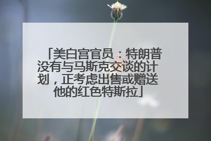 美白宫官员：特朗普没有与马斯克交谈的计划，正考虑出售或赠送他的红色特斯拉