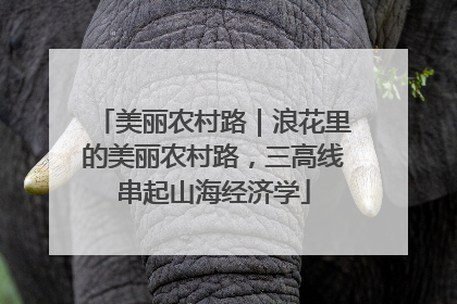 美丽农村路｜浪花里的美丽农村路，三高线串起山海经济学