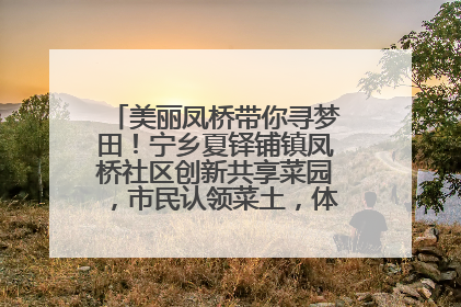 美丽凤桥带你寻梦田！宁乡夏铎铺镇凤桥社区创新共享菜园，市民认领菜土，体验耕种收获乐趣