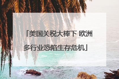 美国关税大棒下 欧洲多行业恐陷生存危机