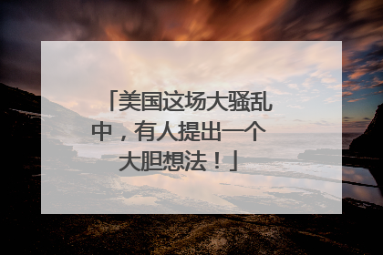 美国这场大骚乱中，有人提出一个大胆想法！