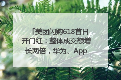 美团闪购618首日开门红：整体成交额增长两倍，华为、Apple、沃尔玛等近800个品牌翻倍增长