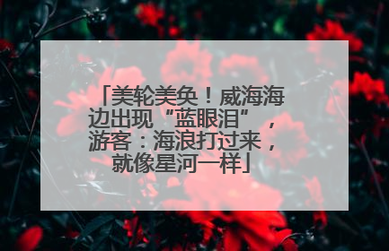 美轮美奂！威海海边出现“蓝眼泪”，游客：海浪打过来，就像星河一样