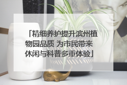 精细养护提升滨州植物园品质 为市民带来休闲与科普多重体验