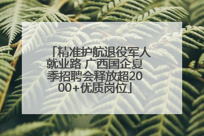 精准护航退役军人就业路 广西国企夏季招聘会释放超2000+优质岗位