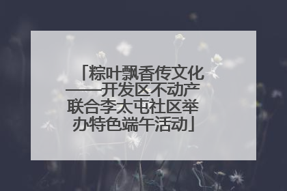 粽叶飘香传文化——开发区不动产联合李太屯社区举办特色端午活动