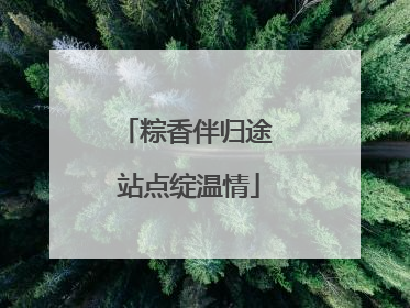 粽香伴归途 站点绽温情