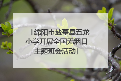 绵阳市盐亭县五龙小学开展全国无烟日主题班会活动