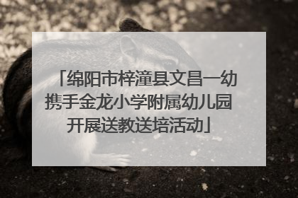 绵阳市梓潼县文昌一幼携手金龙小学附属幼儿园开展送教送培活动