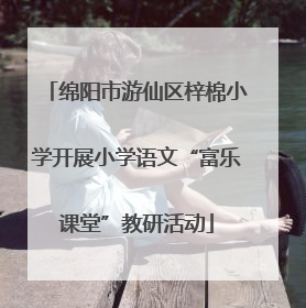 绵阳市游仙区梓棉小学开展小学语文“富乐课堂”教研活动
