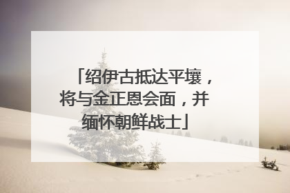 绍伊古抵达平壤，将与金正恩会面，并缅怀朝鲜战士