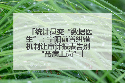 统计员变“数据医生”：宁阳前置纠错机制让审计报表告别“带病上岗”