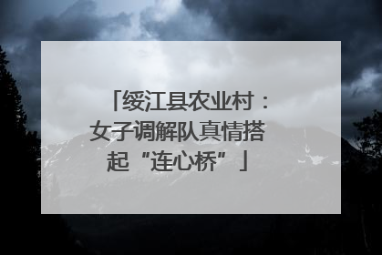 绥江县农业村：女子调解队真情搭起“连心桥”