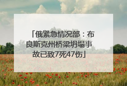 俄紧急情况部：布良斯克州桥梁坍塌事故已致7死47伤