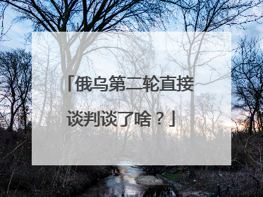 俄乌第二轮直接谈判谈了啥？