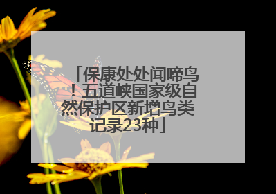 保康处处闻啼鸟！五道峡国家级自然保护区新增鸟类记录23种