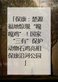保康：楚源福地惊现“嘎嘎鸡”！国家“三有”保护动物石鸡亮相保康沿河公园