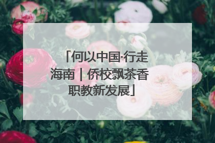 何以中国·行走海南｜侨校飘茶香 职教新发展