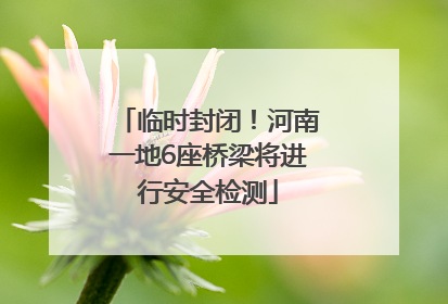 临时封闭！河南一地6座桥梁将进行安全检测