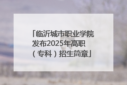 临沂城市职业学院发布2025年高职（专科）招生简章