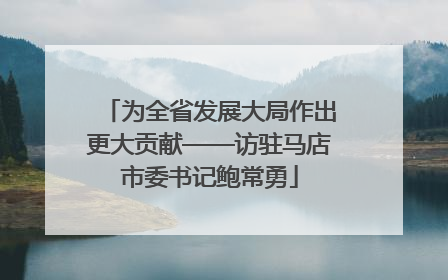 为全省发展大局作出更大贡献——访驻马店市委书记鲍常勇