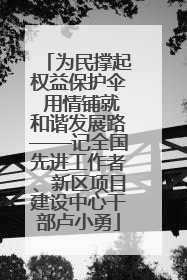 为民撑起权益保护伞 用情铺就和谐发展路——记全国先进工作者、新区项目建设中心干部卢小勇