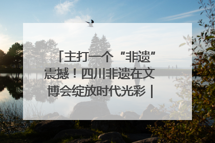 主打一个“非遗”震撼！四川非遗在文博会绽放时代光彩｜文博向“新”