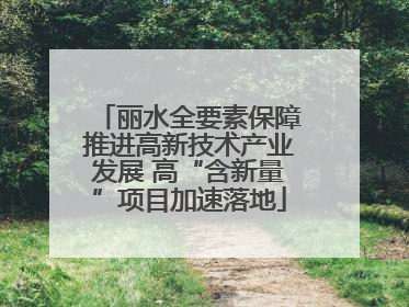 丽水全要素保障推进高新技术产业发展 高“含新量”项目加速落地