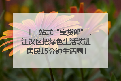 一站式“宝货郎”，江汉区把绿色生活装进居民15分钟生活圈
