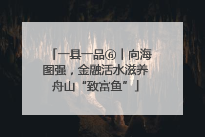 一县一品⑥丨向海图强，金融活水滋养舟山“致富鱼”
