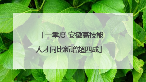 一季度 安徽高技能人才同比新增超四成