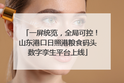一屏统览，全局可控！山东港口日照港粮食码头数字孪生平台上线