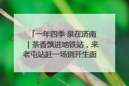 一年四季·泉在济南｜茶香飘进地铁站，来老屯站赶一场别开生面的“茶韵市集”！