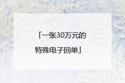 一张30万元的特殊电子回单