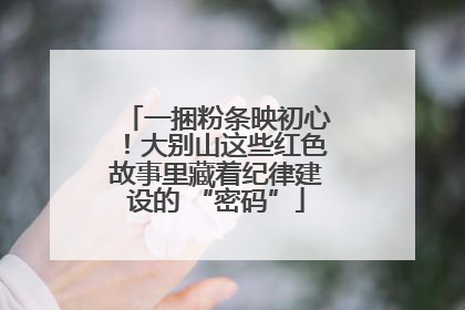一捆粉条映初心！大别山这些红色故事里藏着纪律建设的 “密码”
