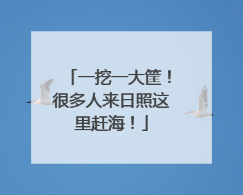 一挖一大筐！很多人来日照这里赶海！