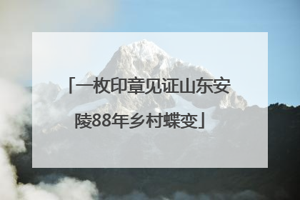 一枚印章见证山东安陵88年乡村蝶变