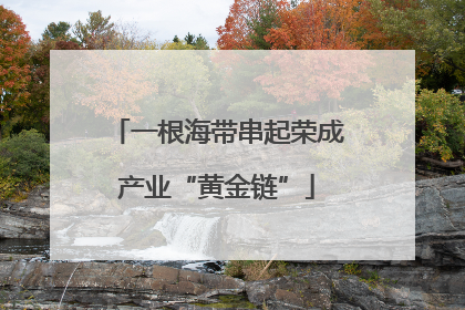 一根海带串起荣成产业“黄金链”
