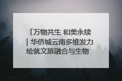 万物共生 和美永续｜华侨城云南多维发力 绘就文旅融合与生物多样性保护新图景