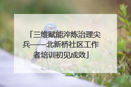 三维赋能淬炼治理尖兵——北新桥社区工作者培训初见成效