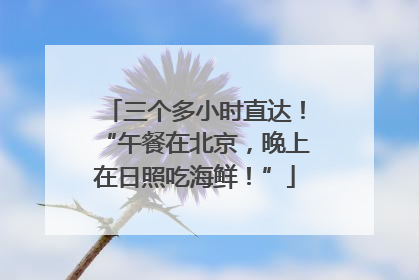 三个多小时直达！“午餐在北京，晚上在日照吃海鲜！”