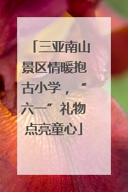 三亚南山景区情暖抱古小学，“六一”礼物点亮童心