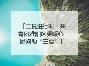 三夏进行时丨共青团睢阳区委暖心慰问助“三夏”
