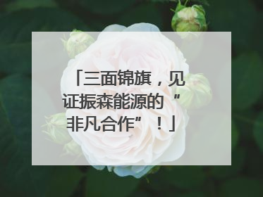 三面锦旗，见证振森能源的“非凡合作”！