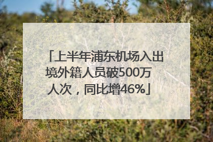 上半年浦东机场入出境外籍人员破500万人次，同比增46%