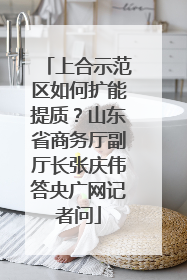 上合示范区如何扩能提质？山东省商务厅副厅长张庆伟答央广网记者问