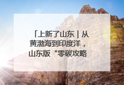 上新了山东｜从黄渤海到印度洋，山东版“零碳攻略”有多能打？