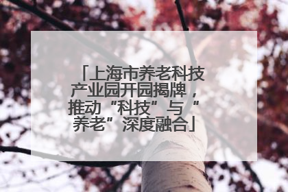 上海市养老科技产业园开园揭牌，推动“科技”与“养老”深度融合